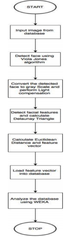 Diagrama de flujo para determinar el género: detección de cara, escala de grises, triangulación de Delaunay, distancias euclidianas y WEKA