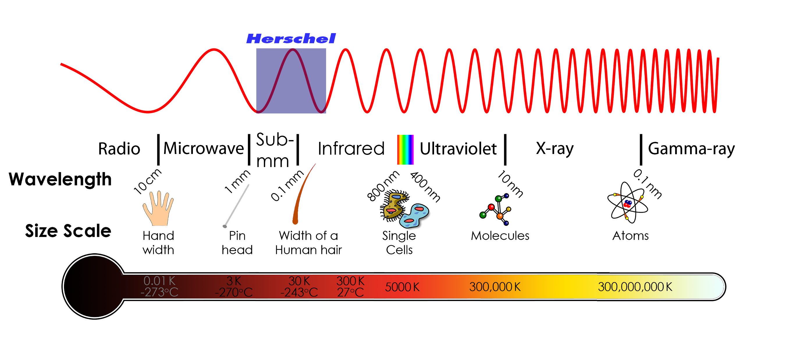 Electromagnetic spectrum from radio to gamma rays, showing where infrared sits by wavelength and temperature